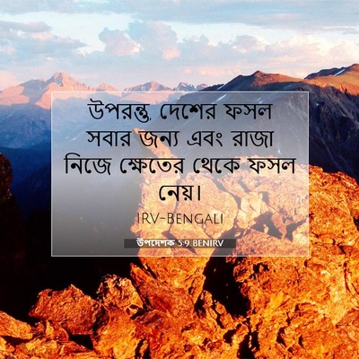 Picture 07 - উপদেশক 5:9 BENIRV - উপরন্তু, দেশের ফসল - Bible Verse Picture