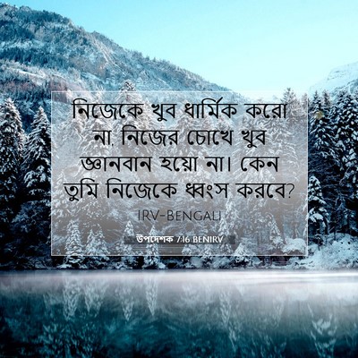 Picture 07 - উপদেশক 7:16 BENIRV - নিজেকে খুব - Bible Verse Picture