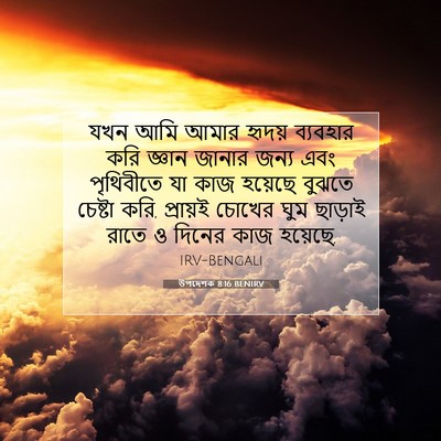 Picture 07 - উপদেশক 8:16 BENIRV - যখন আমি আমার হৃদয় - Bible Verse Picture