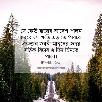 Picture 07 - উপদেশক 8:5 BENIRV - যে কেউ রাজার আদেশ - Bible Verse Picture