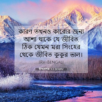 Picture 07 - উপদেশক 9:4 BENIRV - কারণ তখনও কারোর - Bible Verse Picture