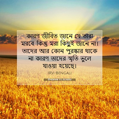 Picture 07 - উপদেশক 9:5 BENIRV - কারণ জীবিত জানে যে - Bible Verse Picture