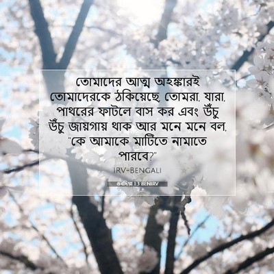 Picture 07 - ওবদিয়া 1:3 BENIRV - তোমাদের আত্ম - Bible Verse Picture