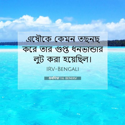 Picture 07 - ওবদিয়া 1:6 BENIRV - এষৌকে কেমন তছনছ - Bible Verse Picture