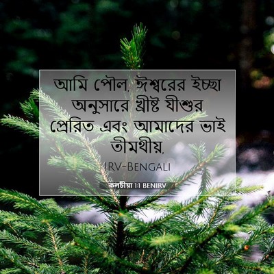 Picture 07 - কলচীয়া 1:1 BENIRV - আমি পৌল, ঈশ্বরের - Bible Verse Picture