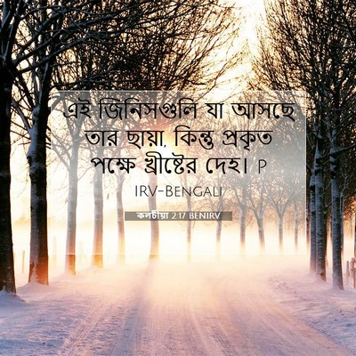 Picture 07 - কলচীয়া 2:17 BENIRV - এই জিনিসগুলি যা - Bible Verse Picture