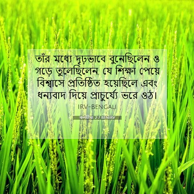 Picture 07 - কলচীয়া 2:7 BENIRV - তাঁর মধ্যে - Bible Verse Picture