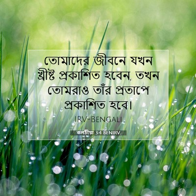 Picture 07 - কলচীয়া 3:4 BENIRV - তোমাদের জীবনে যখন - Bible Verse Picture