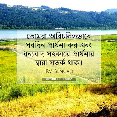 Picture 07 - কলচীয়া 4:2 BENIRV - তোমরা অবিচলিতভাবে - Bible Verse Picture