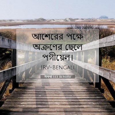 Picture 07 - গননা 1:13 BENIRV - আশেরের পক্ষে - Bible Verse Picture