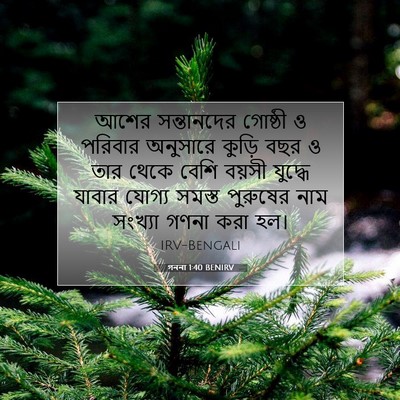 Picture 07 - গননা 1:40 BENIRV - আশের সন্তানদের - Bible Verse Picture