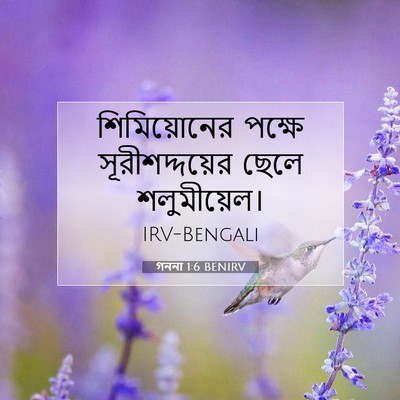 Picture 07 - গননা 1:6 BENIRV - শিমিয়োনের পক্ষে - Bible Verse Picture