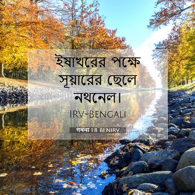 Picture 07 - গননা 1:8 BENIRV - ইষাখরের পক্ষে - Bible Verse Picture