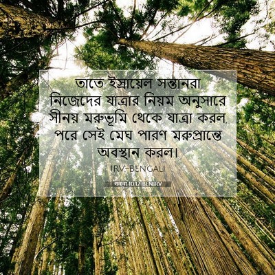 Picture 07 - গননা 10:12 BENIRV - তাতে ইস্রায়েল - Bible Verse Picture