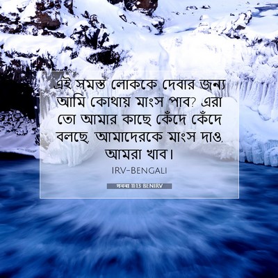 Picture 07 - গননা 11:13 BENIRV - এই সমস্ত লোককে - Bible Verse Picture
