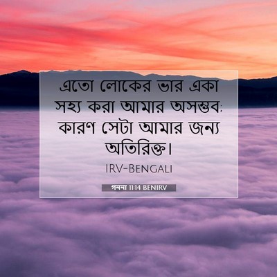 Picture 07 - গননা 11:14 BENIRV - এতো লোকের ভার একা - Bible Verse Picture
