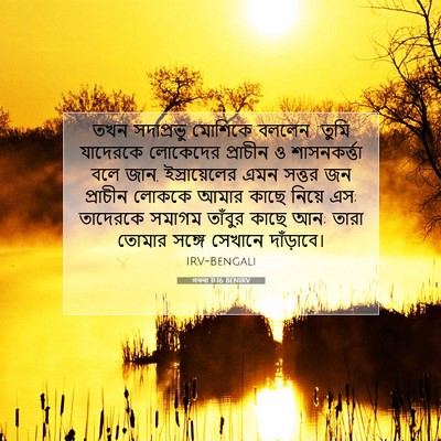 Picture 07 - গননা 11:16 BENIRV - তখন সদাপ্রভু - Bible Verse Picture