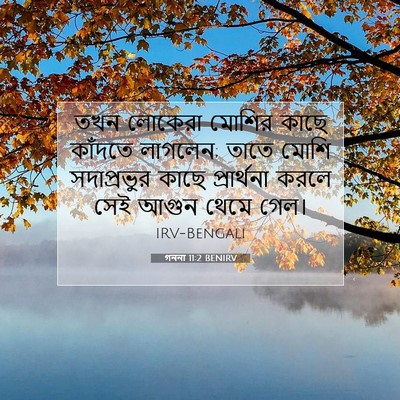 Picture 07 - গননা 11:2 BENIRV - তখন লোকেরা মোশির - Bible Verse Picture