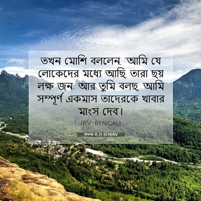 Picture 07 - গননা 11:21 BENIRV - তখন মোশি বললেন, - Bible Verse Picture
