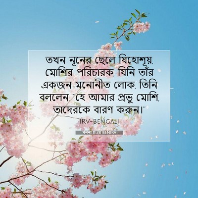 Picture 07 - গননা 11:28 BENIRV - তখন নূনের ছেলে - Bible Verse Picture
