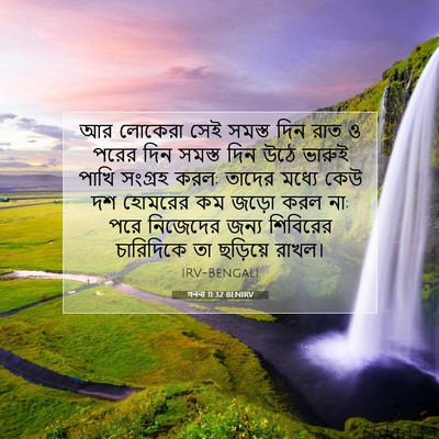 Picture 07 - গননা 11:32 BENIRV - আর লোকেরা সেই - Bible Verse Picture