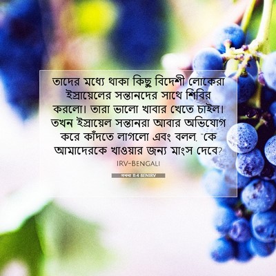 Picture 07 - গননা 11:4 BENIRV - তাদের মধ্যে থাকা - Bible Verse Picture