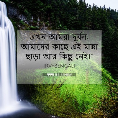 Picture 07 - গননা 11:6 BENIRV - এখন আমরা দুর্বল; - Bible Verse Picture