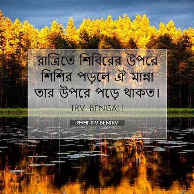 Picture 07 - গননা 11:9 BENIRV - রাত্রিতে শিবিরের - Bible Verse Picture