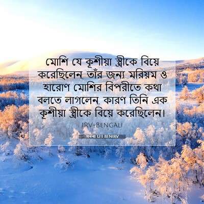 Picture 07 - গননা 12:1 BENIRV - মোশি যে কূশীয়া - Bible Verse Picture