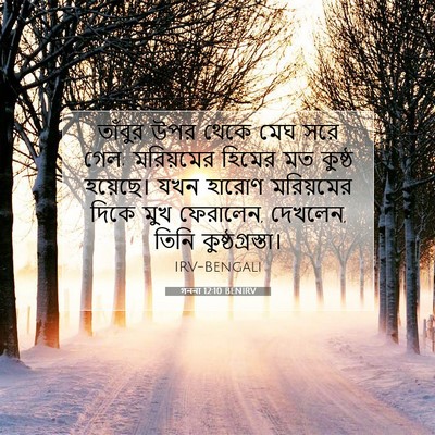 Picture 07 - গননা 12:10 BENIRV - তাঁবুর উপর থেকে - Bible Verse Picture