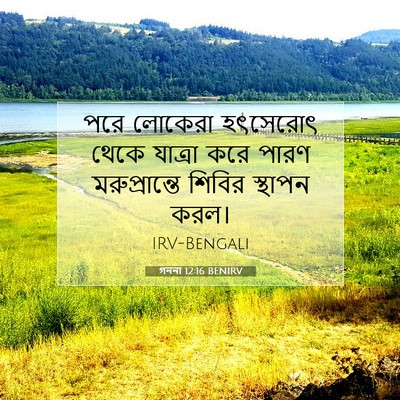 Picture 07 - গননা 12:16 BENIRV - পরে লোকেরা - Bible Verse Picture