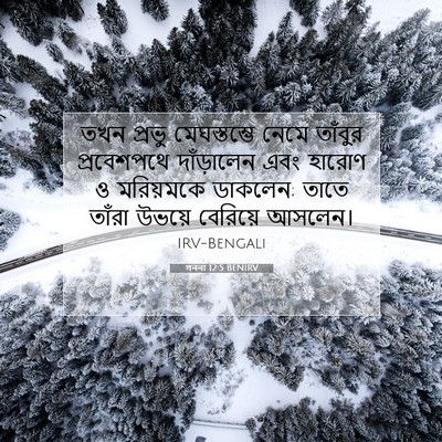 Picture 07 - গননা 12:5 BENIRV - তখন প্রভু - Bible Verse Picture