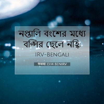 Picture 07 - গননা 13:14 BENIRV - নপ্তালি বংশের - Bible Verse Picture