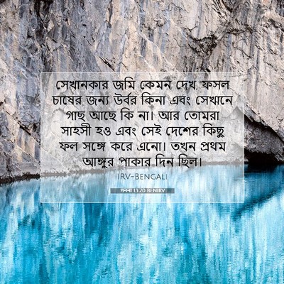 Picture 07 - গননা 13:20 BENIRV - সেখানকার জমি কেমন - Bible Verse Picture