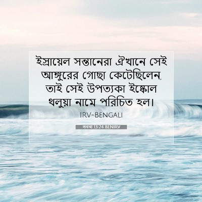 Picture 07 - গননা 13:24 BENIRV - ইস্রায়েল - Bible Verse Picture