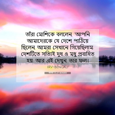 Picture 07 - গননা 13:27 BENIRV - তাঁরা মোশিকে - Bible Verse Picture