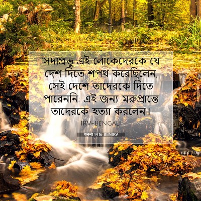 Picture 07 - গননা 14:16 BENIRV - ‘সদাপ্রভু এই - Bible Verse Picture
