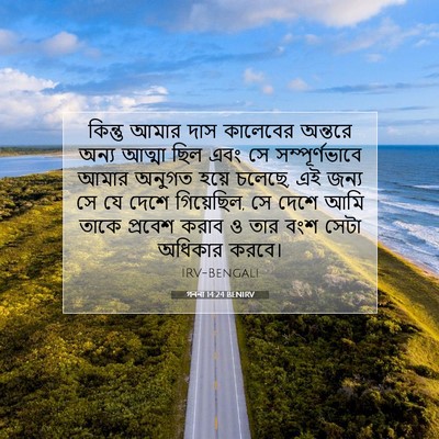Picture 07 - গননা 14:24 BENIRV - কিন্তু আমার দাস - Bible Verse Picture