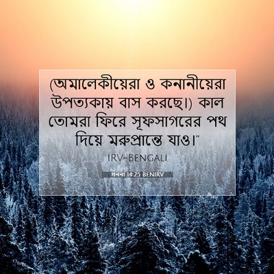 Picture 07 - গননা 14:25 BENIRV - (অমালেকীয়েরা ও - Bible Verse Picture