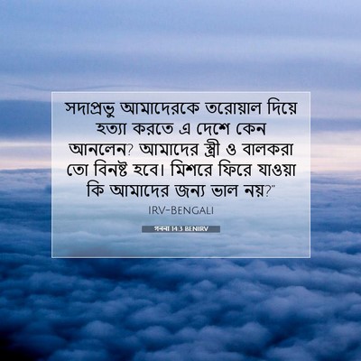 Picture 07 - গননা 14:3 BENIRV - সদাপ্রভু আমাদেরকে - Bible Verse Picture