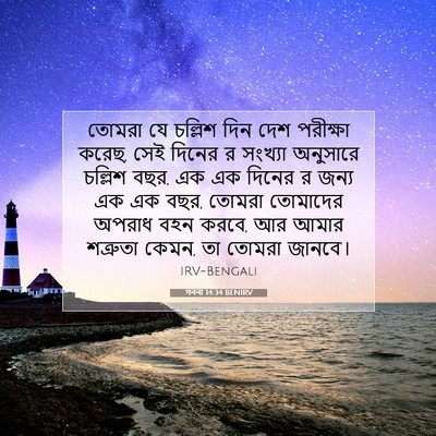 Picture 07 - গননা 14:34 BENIRV - তোমরা যে চল্লিশ - Bible Verse Picture