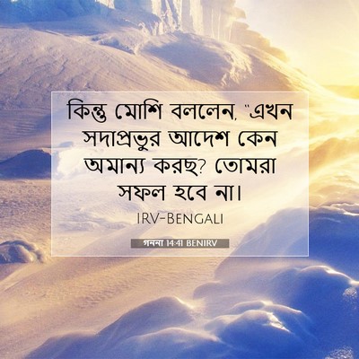 Picture 07 - গননা 14:41 BENIRV - কিন্তু মোশি বললেন, - Bible Verse Picture
