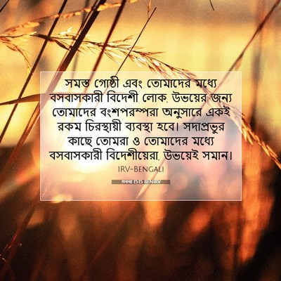 Picture 07 - গননা 15:15 BENIRV - সমস্ত গোষ্ঠী এবং - Bible Verse Picture