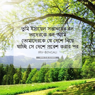 Picture 07 - গননা 15:18 BENIRV - তুমি ইস্রায়েল - Bible Verse Picture