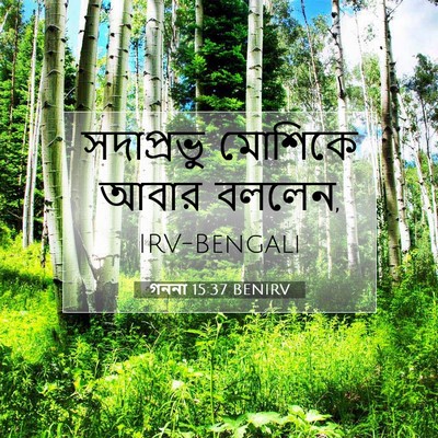 Picture 07 - গননা 15:37 BENIRV - সদাপ্রভু মোশিকে - Bible Verse Picture