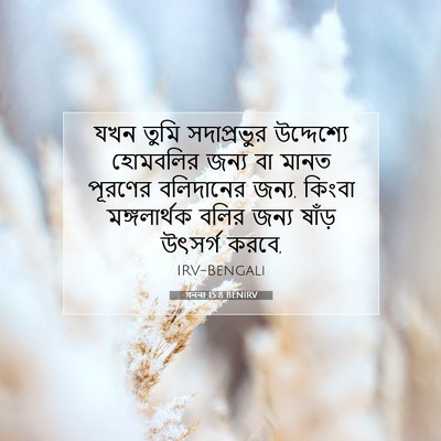 Picture 07 - গননা 15:8 BENIRV - যখন তুমি - Bible Verse Picture