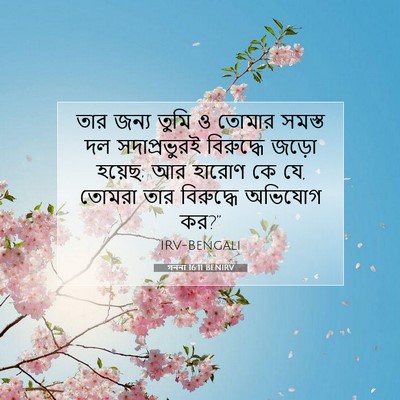 Picture 07 - গননা 16:11 BENIRV - তার জন্য তুমি ও - Bible Verse Picture