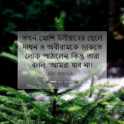 Picture 07 - গননা 16:12 BENIRV - তখন মোশি - Bible Verse Picture