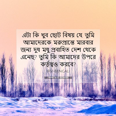 Picture 07 - গননা 16:13 BENIRV - এটা কি খুব ছোট - Bible Verse Picture