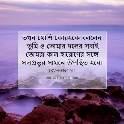 Picture 07 - গননা 16:16 BENIRV - তখন মোশি কোরহকে - Bible Verse Picture